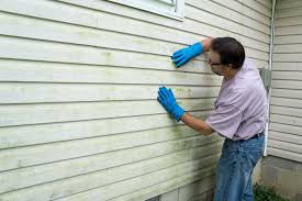 Best Siding Replacement  in Manasquan, NJ